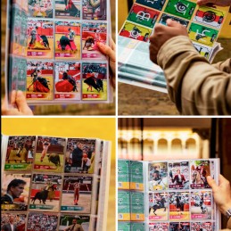 Cartes à collectionner Taurocromos 2025